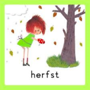 Nieuwsbrief 8