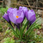 Nieuwsbrief 21 februari