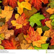 nieuwsbrief 16 oktober