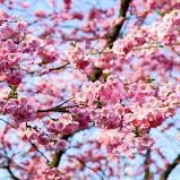 Nieuwsbrief 16 april
